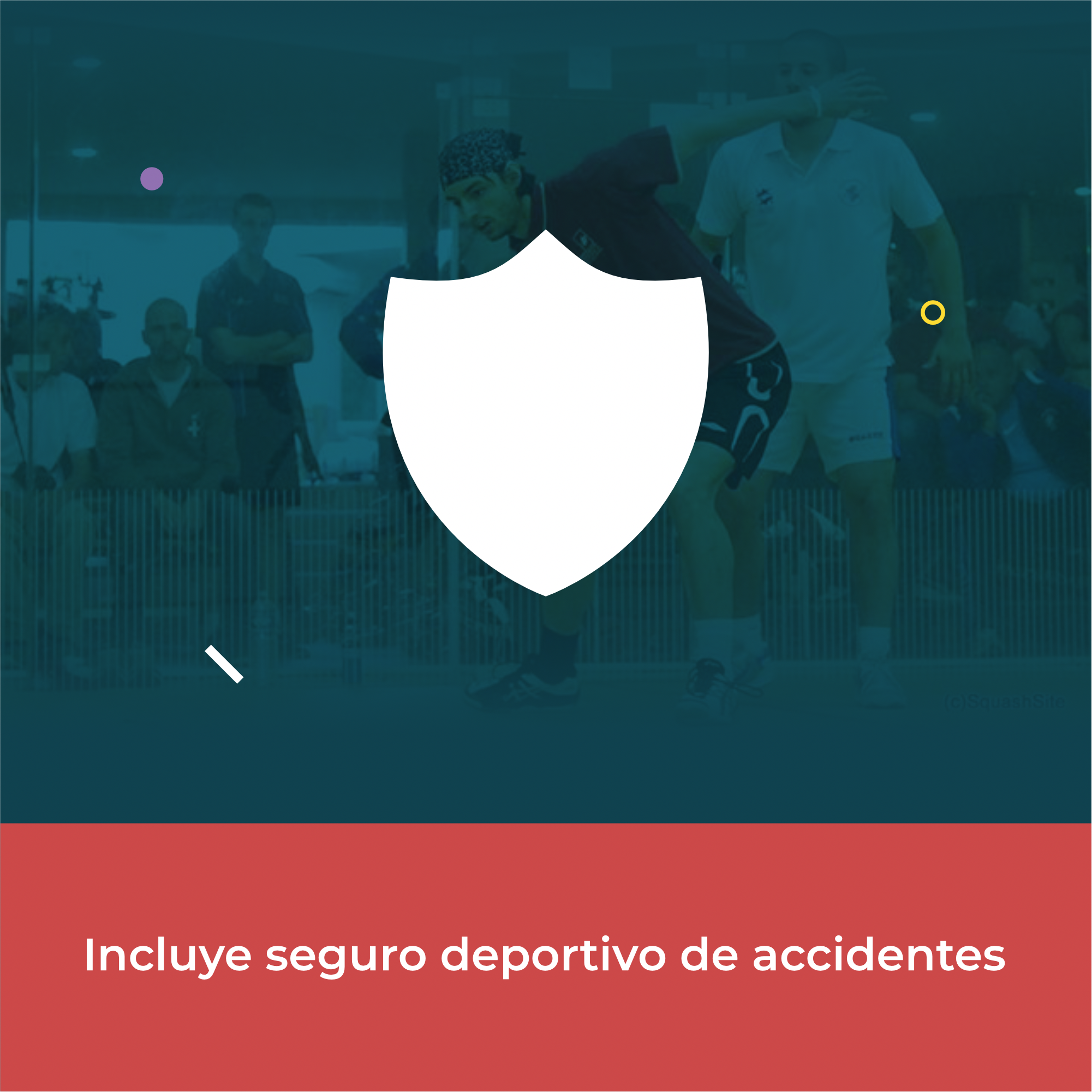 Seguro